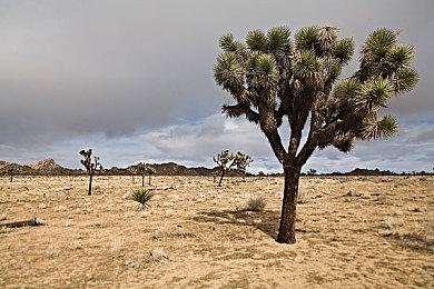 《生化4：重制版》iPhone 15 Pro版12月20推出 截图放出